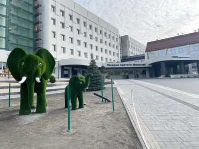 Дівчинку, яку у Львові вдарила блискавка, виписали з лікарні
