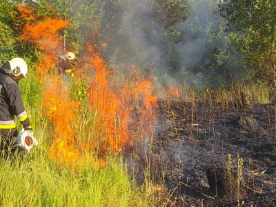 На Берегівщині спалювання сміття завершилося опіками: постраждав пенсіонер