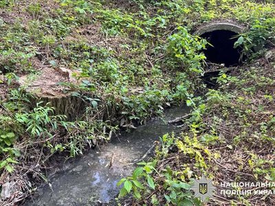 Розпочато розслідування можливого забруднення Південного Бугу