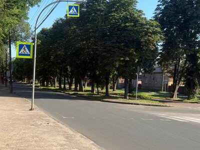  Майже під колесами на «зебрі»: скільки ще має статися трагедій біля парку Шевченка? 