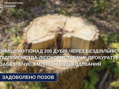Вирубали столітніх дубів на 3 млн. через бездіяльність посадовців