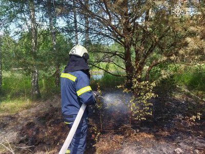 Поблизу Копилля ліквідували пожежу лісової підстилки
