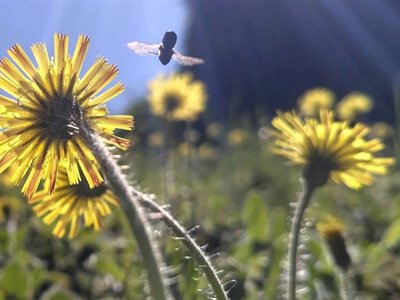 На Черкащині спека до 34° утримається ще добу, далі – грози та шквали