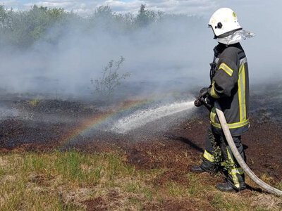 Майже 8 гектарів у вогні: у районі на Волині гасять пожежу на торфовищі