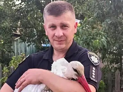 На Рівненщині поліцейський врятував травмованого лелеку