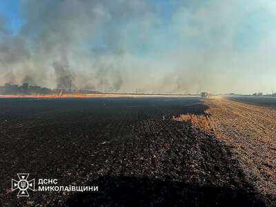 На Миколаївщині за добу сталося 53 пожежі: вогонь знищив понад 74 гектари врожаю (відео)