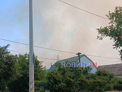 У Миколаєві спалахнула масштабна пожежа: вогонь підбирається до житлових будинків