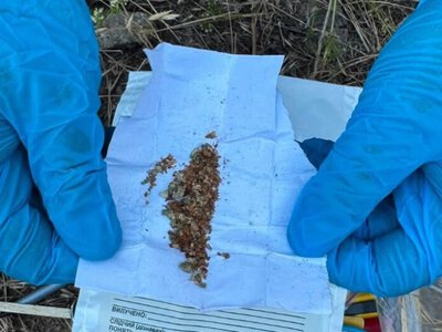 Мали при собі наркотичні речовини: у Кривому Розі затримали наркоділків
