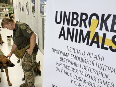 Unbroken Animals: у Львові створюють першу в Україні програму емоційної підтримки ветеранів за участі собак