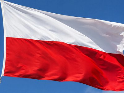 Третина поляків стали гірше ставитися до українців після суперечки про УПА