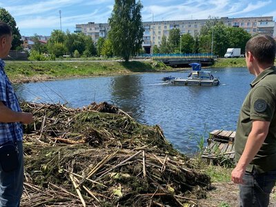 На Рівненщині ліквідують звалище рослинних відходів біля річки