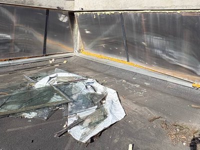 Російський обстріл травмував тварин у Київському зоопарку