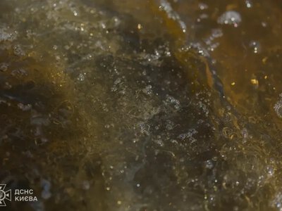 Після удару РФ у Києві озеро Кирилівське отримало критичне забруднення