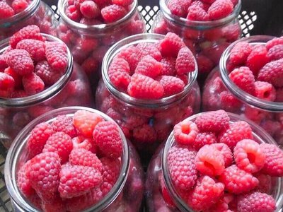 Литровая банка малины на рынках Харьковской обл стоит от 100 грн