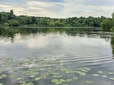 Головне на Рівненщині за 2 липня: четверо загиблих у ДТП з потягом, трагедія на водоймі та 10-кілограмова пухлина