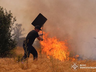 Вогонь мало не охопив житловий сектор: у Миколаєві ліквідували масштабну пожежу (відео)
