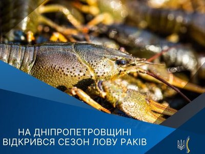 На Дніпропетровщині скасували заборону на вилов раків: що потрібно знати криворіжцям