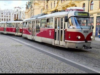 У Празі зростає кількість випадків захворювання на коросту