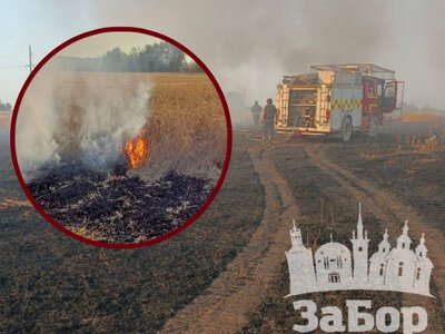 Понад 10 гектарів у вогні: під Запоріжжям чотири доби тривали масштабні пожежі (фото, відео)