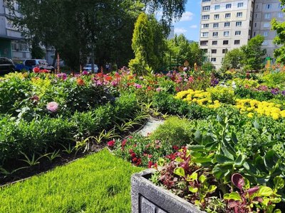 За місяць у Харкові висадили 12 тисяч квітів – мерія (фото)