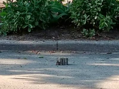 У центрі російського Рильська на міні підірвалася автівка з чиновниками: серед поранених – голова району