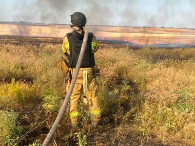  Через падіння уламків російського БпЛА загорілось поле на Херсонщині. ФОТО 