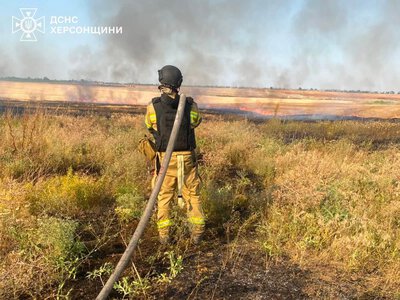 Горіли поля пшениці та сухостій: за добу на Херсонщині рятувальники ліквідували 15 пожеж (фото)