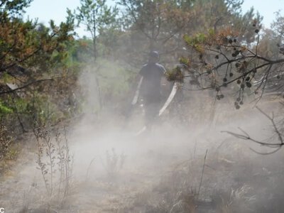 Поблизу Ржищева продовжують гасити пожежу торфовища