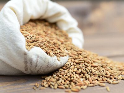 Зернові різко подешевшали, але ціни на продукти у світі майже не змінилися