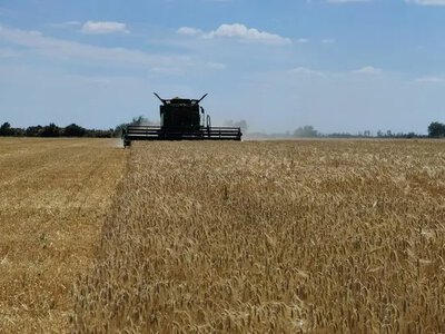 Графік жнив в РФ змінили через погоду та проблеми з паливом