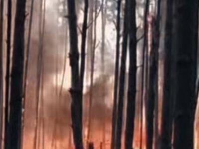 Київщина у вогні: що горить декілька днів, - ВІДЕО
