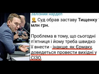 Черговий конфуз від Железняка: депутат не розібрався у кримінальному процесі
