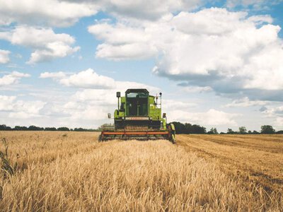  Ridne Group купує агропідприємство «Астарти» на Чернігівщині 