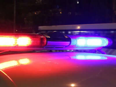 Трагедія в Києві: собака помер на балконі, поки господаря не було вдома