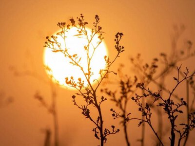 Місячний календар на липень 2026: сприятливі та складні дні