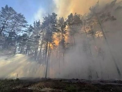 За пів року на Рівненщині зафіксували майже 1000 пожеж в екосистемах