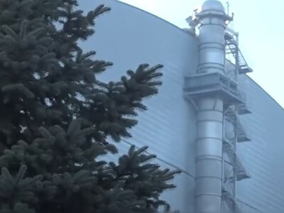 Живиться радіацією: у руїнах ЧАЕС виявили загадковий організм