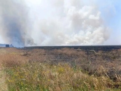 За десять днів в заповіднику «Асканіїя-Нова» вигоріло майже 2,3 тисячі гектарів заповідного степу