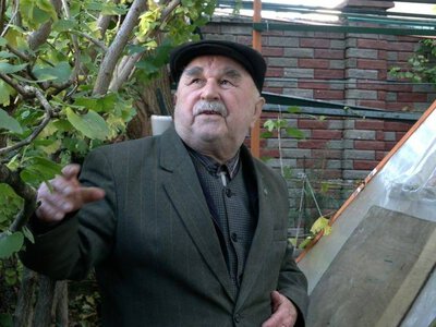 Від кількох паростків до сотень саджанців: як рівнянин 30 років вирощує гінкго