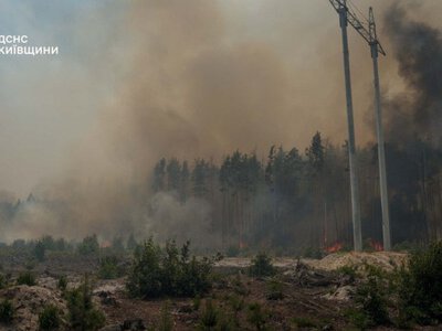 Рятувальникам вдалося ліквідувати пожежу площею 130 га у Чорнобильській зоні