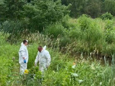 Екоінспекція зафіксувала масштабний розлив нафтопродуктів в озері на півночі Києва