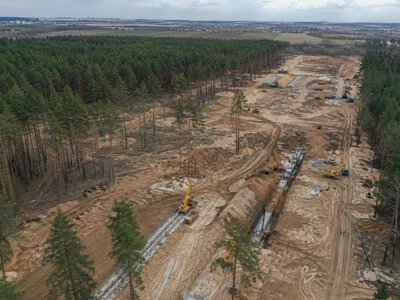 У Мархалівському лісі тривають роботи під меморіальне кладовище: активісти заявляють про вирубку