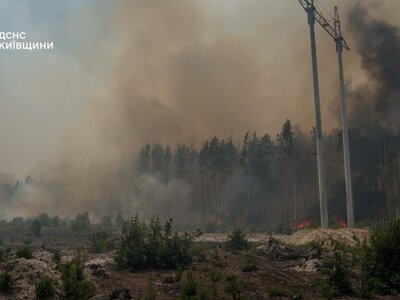 Рятувальники ліквідували загоряння на одній із локацій у Чорнобильській зоні, роботи тривають ще на трьох осередках (ФОТО)