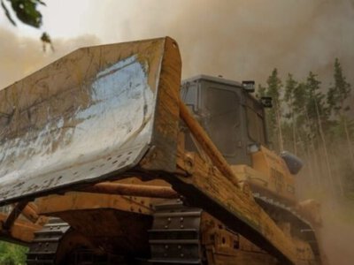 У Чорнобильській зоні після десяти днів гасіння ліквідували один із осередків пожежі