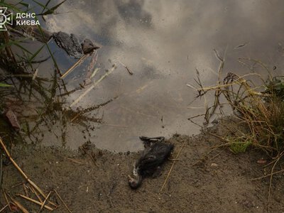 У Києві триває ліквідація забруднення озера Кирилівського (фото)