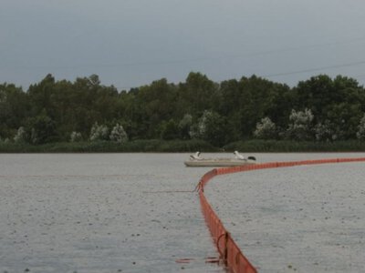 Токсична водойма в Києві: що знайшли рятувальники -водолази, - ФОТО