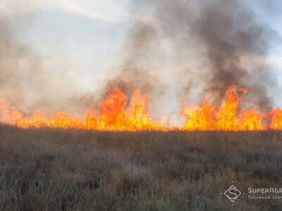 Вигорілі поля Херсонщини видно з космосу: супутник зафіксував масштаб пожеж після російських обстрілів