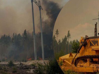  ДСНС ліквідувала масштабну пожежу у Чорнобильській зоні: вогонь охопив близько 130 гектарів 