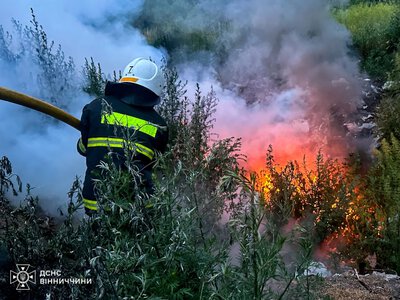 За добу на Вінниччині ліквідували три пожежі в екосистемах: причиною стала людська необережність