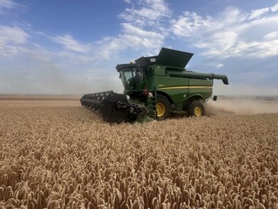 На Рівненщині стартували жнива раніше звичного терміну